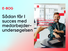 Billede af e-bogen Succes med medarbejderundersøgelsen