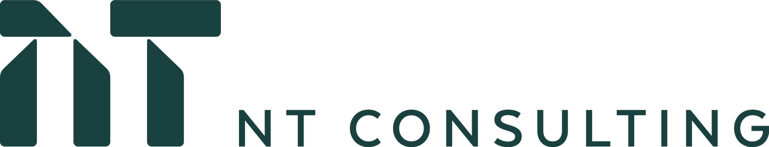 NT Consulting logo