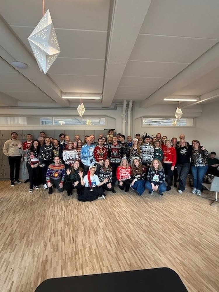 Ugly Sweatshirt billede 2024