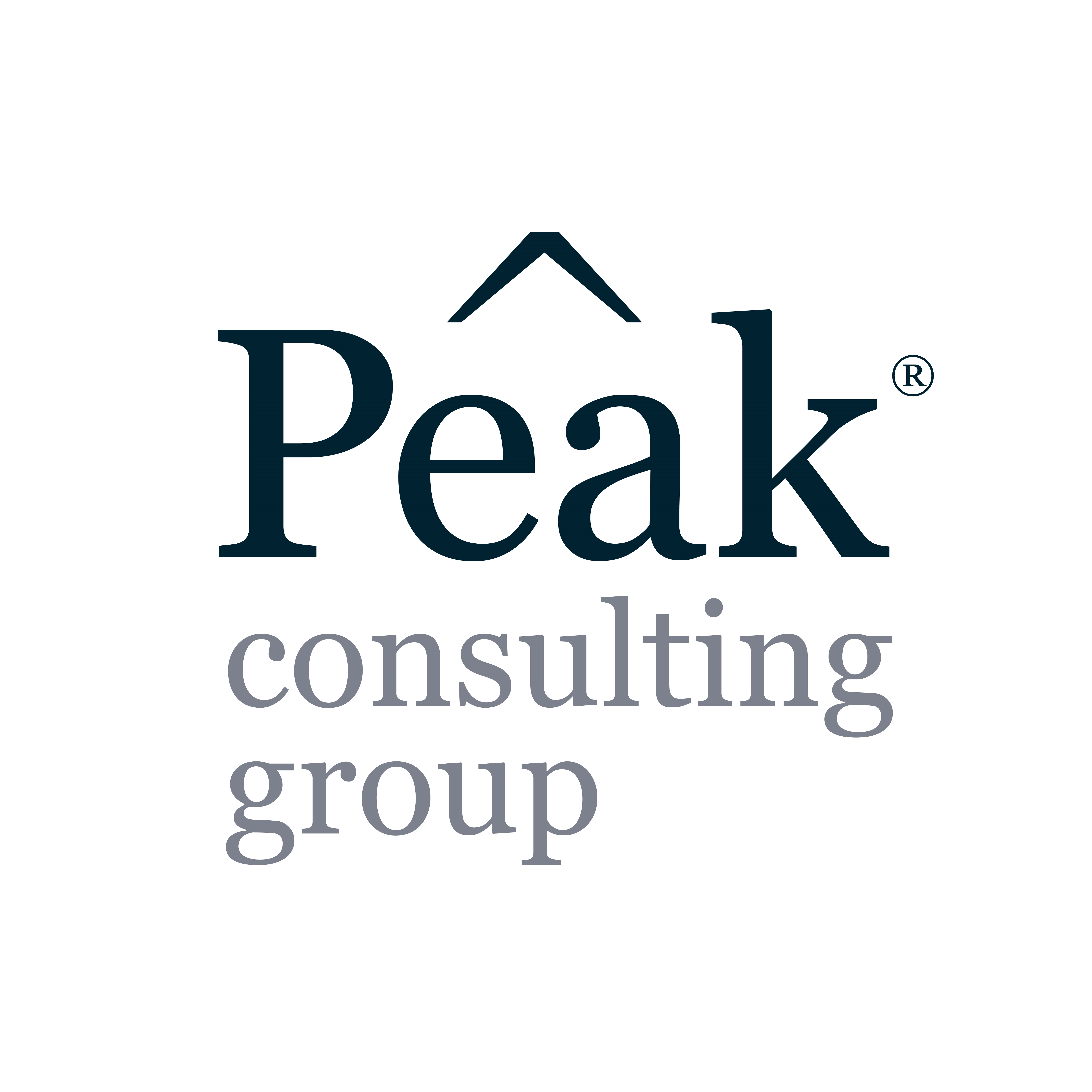 Peak Consulting Group