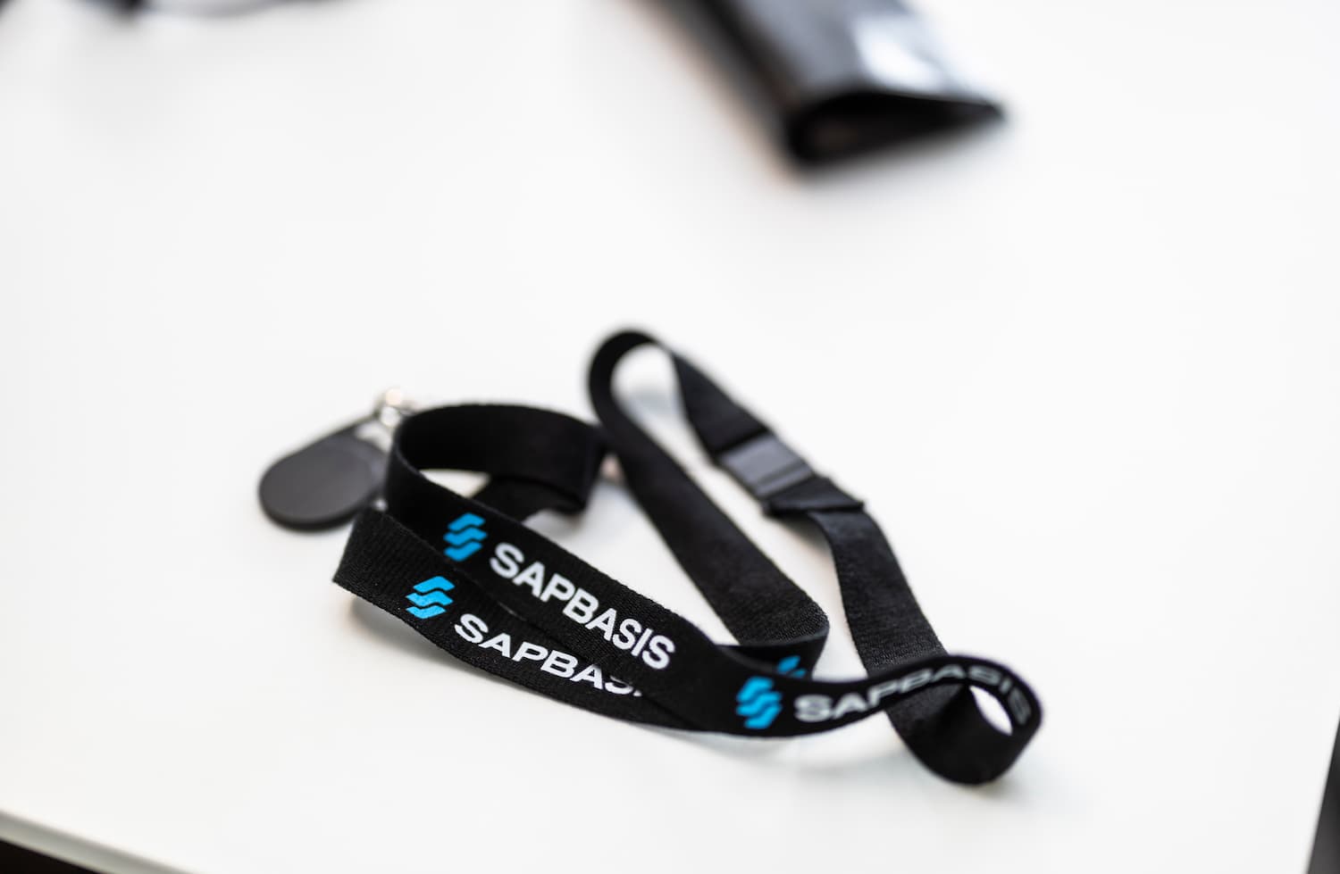 Sapbasis